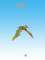 Unique flying Dino